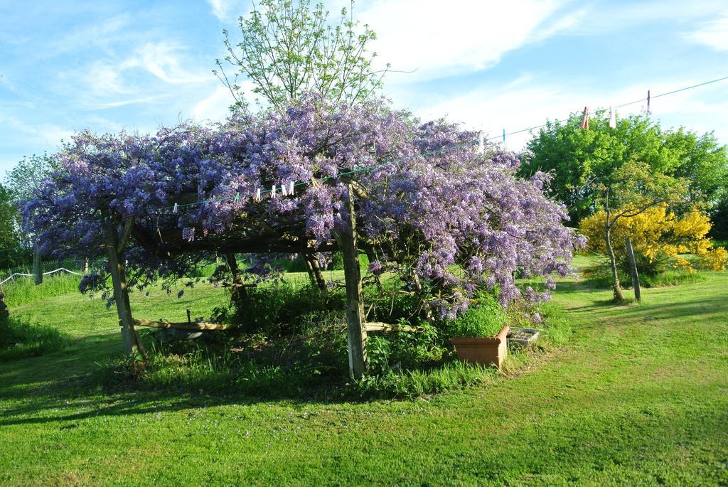 Bed and Breakfast Wisteria House Chanteloup  Esterno foto