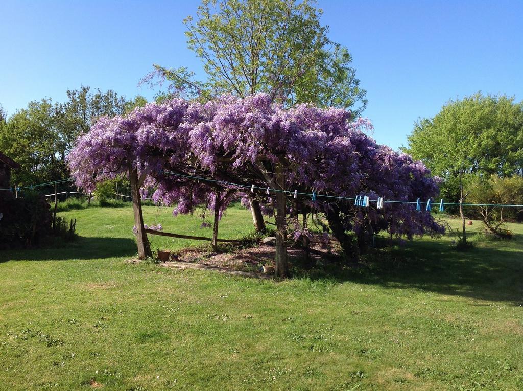 Bed and Breakfast Wisteria House Chanteloup  Esterno foto